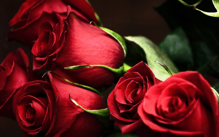 is het rendabel om bloemen te verkopen
