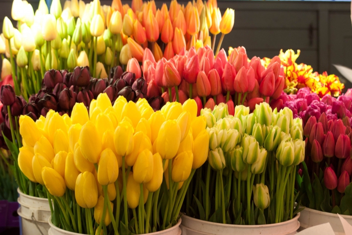 hoe je bloemen gaat verkopen