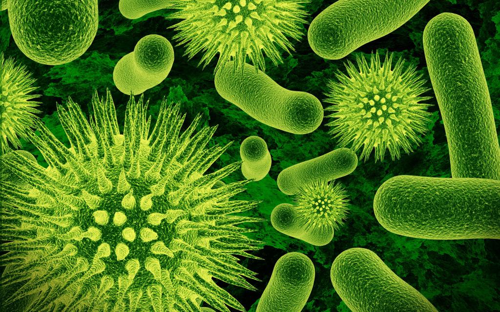 Zanieczyszczenia biologiczne