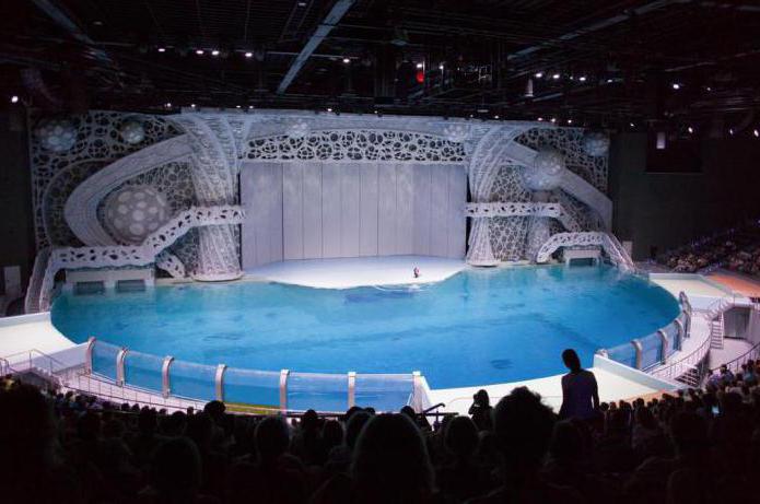 nieuw groot aquarium in Moskou