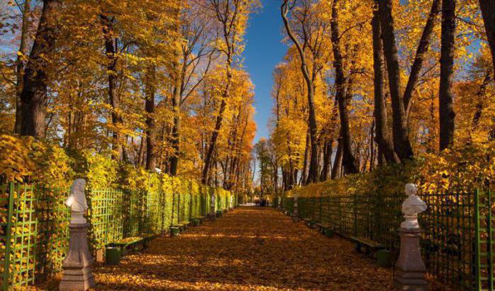 Zomertuin in St. Petersburg