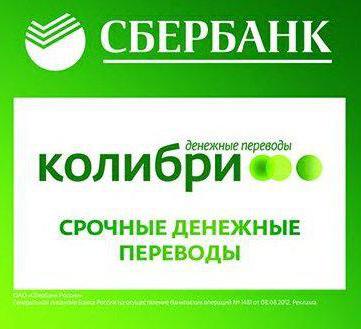 transfer kolibra sberbank jak zdobyć