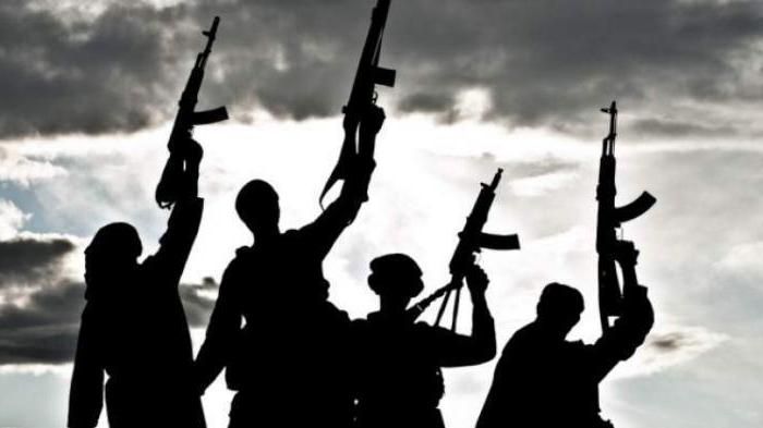 205 artikel terrorisme
