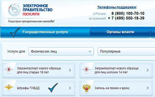 sprawdź grzywny według numeru samochodu