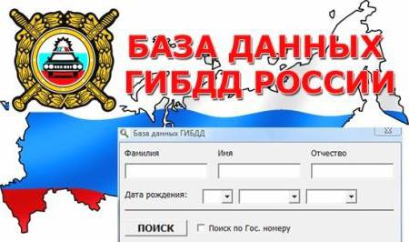 baza aresztowań policji drogowej