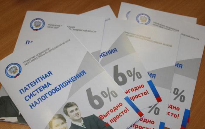 patent lub envd, który jest bardziej opłacalny
