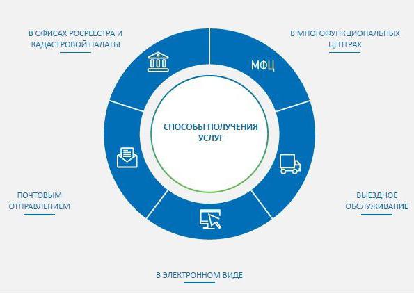 wyciąg z egrp online