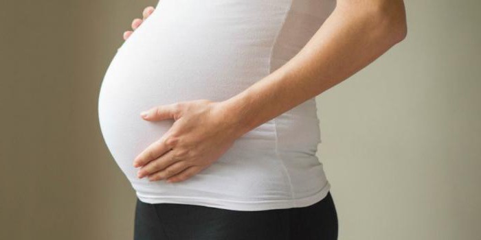 wniosek o urlop przed dekretem próbki 2017