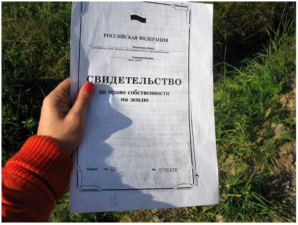 Świadectwo własności nieruchomości