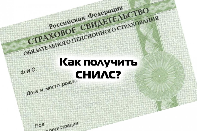 Wszystko o zdobywaniu SNILS