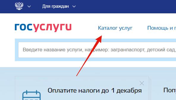 Usługi rządowe i oświadczenia dotyczące zamówień