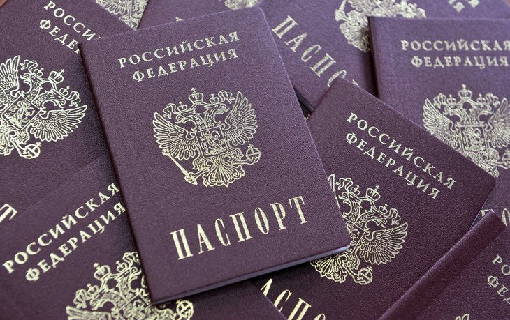 Paszport do rejestracji NIP