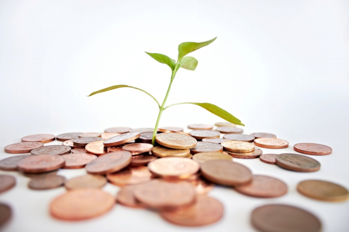 administratief bevelsysteem van de economie