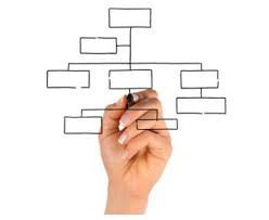 Soorten organisatiestructuren