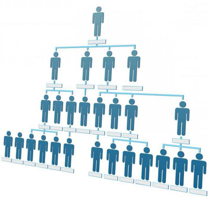 Divisiestructuur effectief
