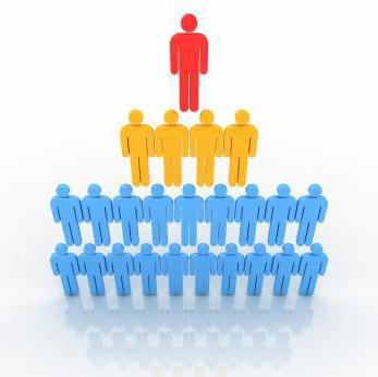Functionele en divisiestructuren