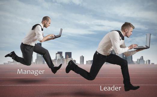 specialistische economie en management