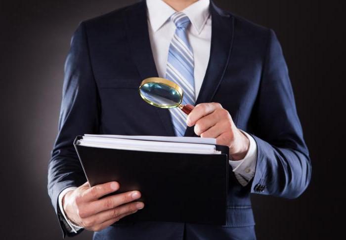 wie is de auditor