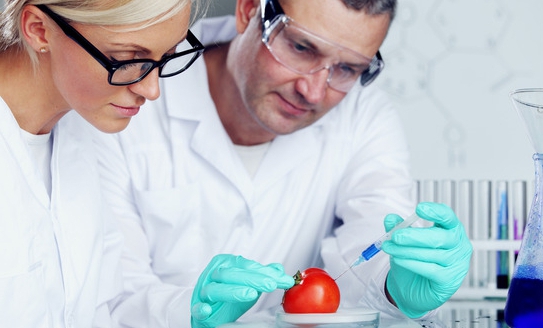 Conformiteitscertificaat voor producten
