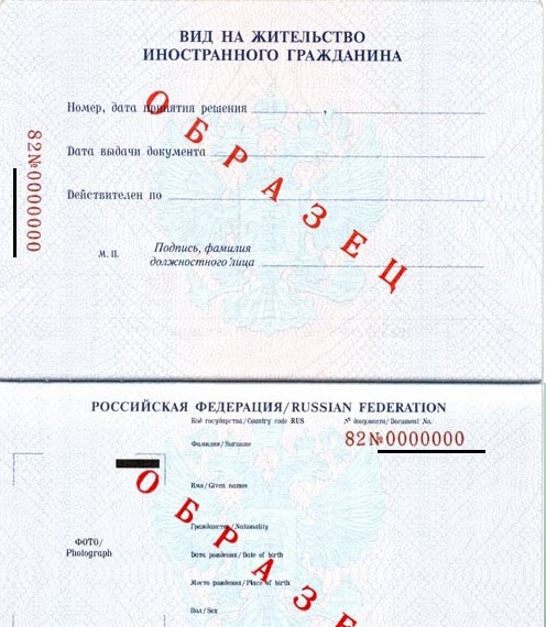 kod i seria paszportu