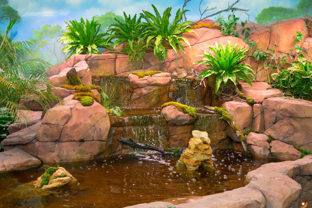 aquarium jungle beoordelingen