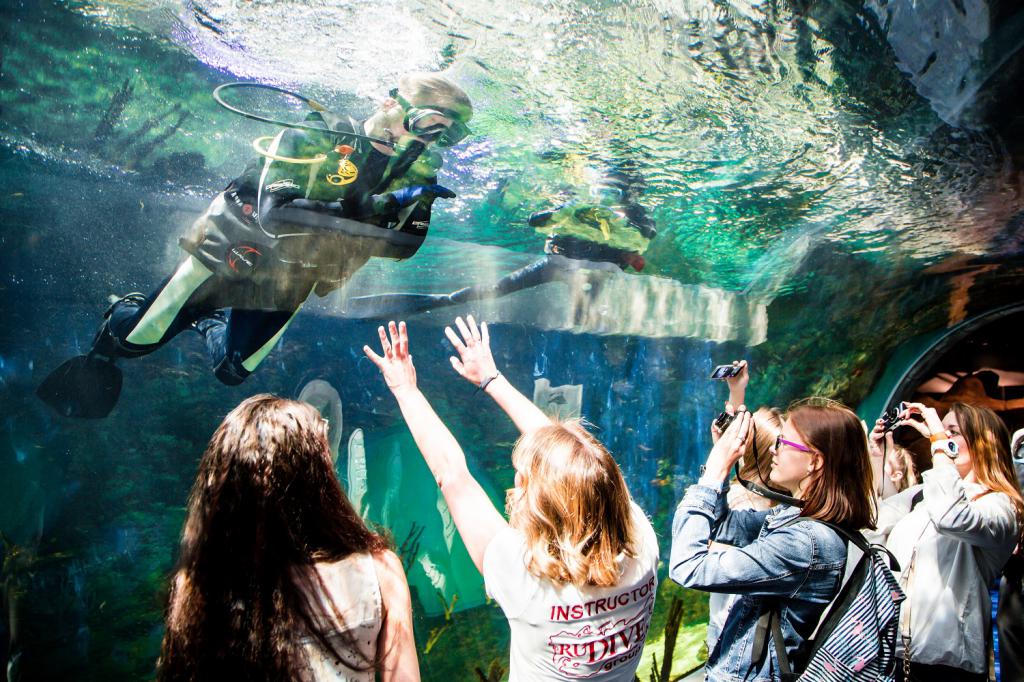 verjaardag in het aquarium