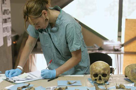 forensisch onderzoek van slagen