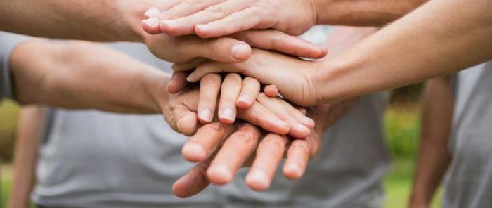 het concept en de soorten non-profit organisaties