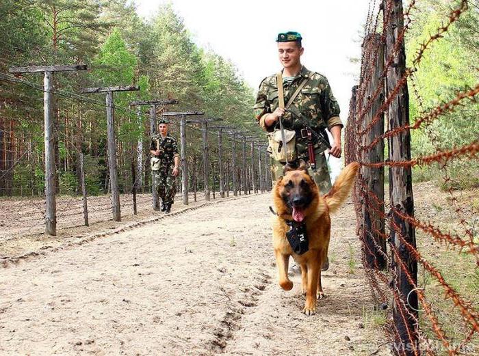 obowiązki wartownika na stanowisku 541 zamówienia