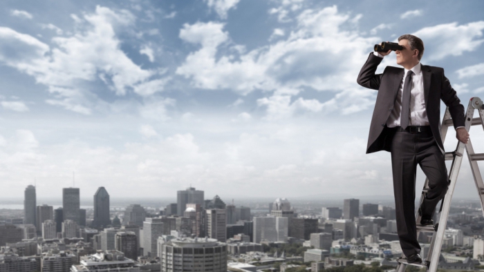 strategisch enterprise management