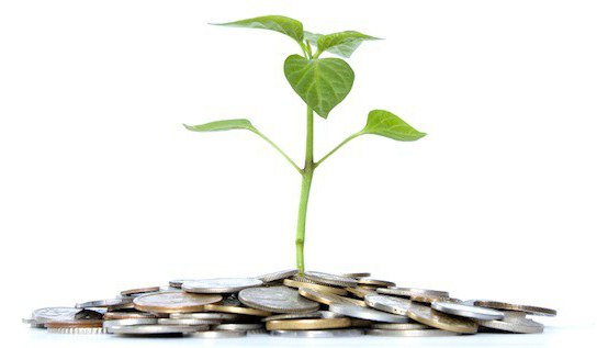 Investeren in beleggen