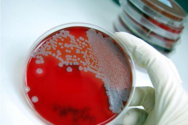 świadectwo epidemiologiczne