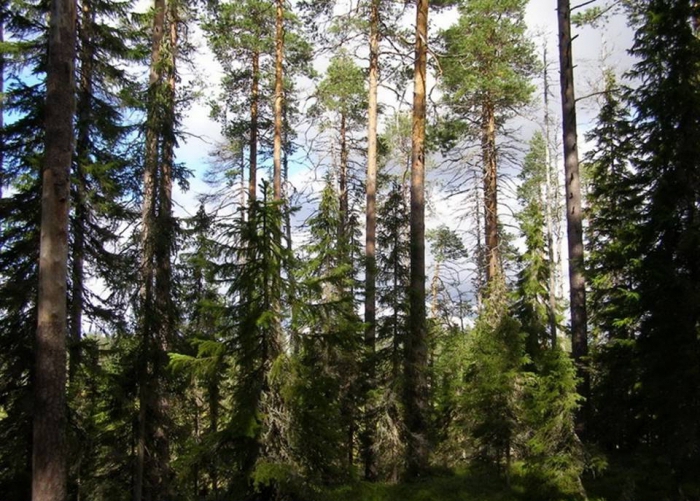 normy środowiskowe i stosunki prawne