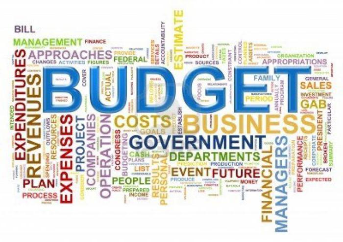 budget investering is
