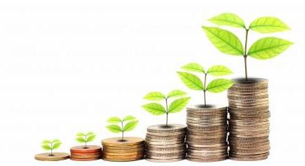 walvisfinanciering beoordelingen