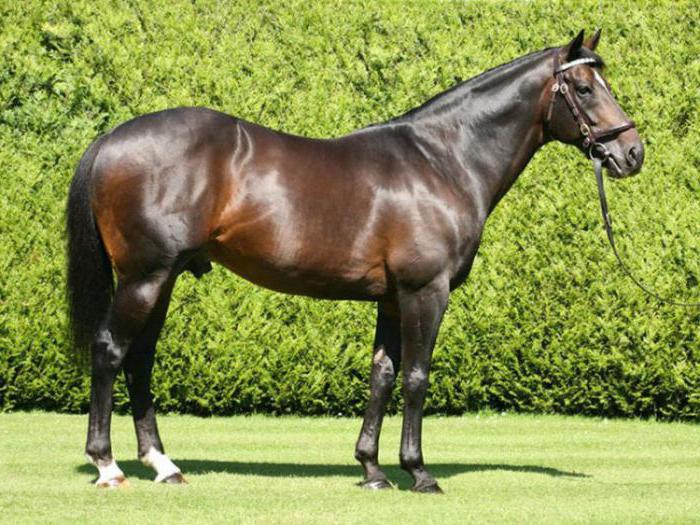 40 miljoen dollar