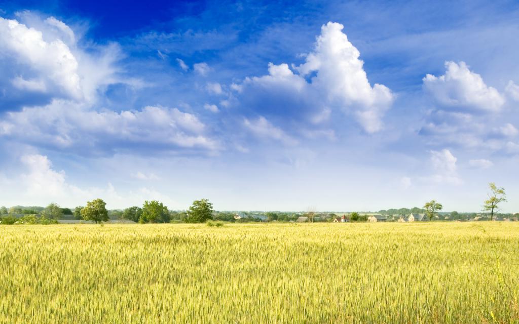 przydział gruntów