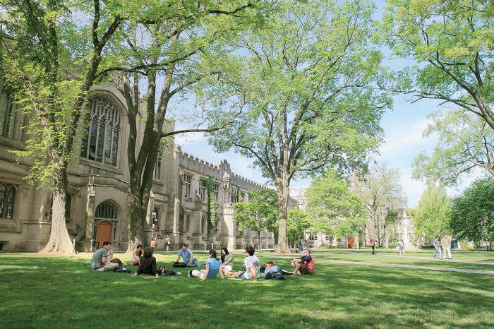 Uniwersytet Princeton