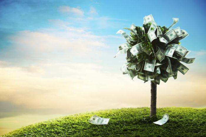economische activiteit