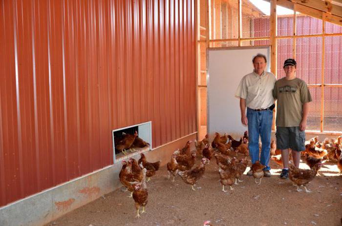 jak otworzyć rodzinną farmę