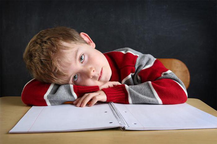 staat educatieve norm