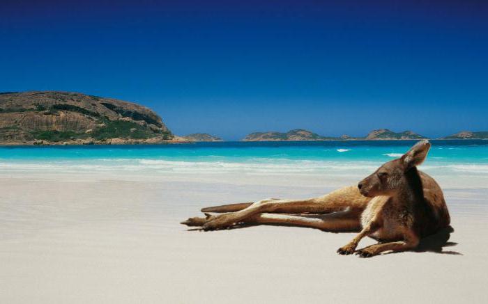 emigrować do Australii z Rosji