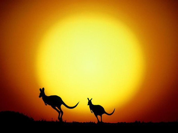emigracja z Rosji do Australii bez języka