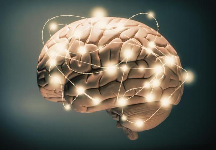 iq optie