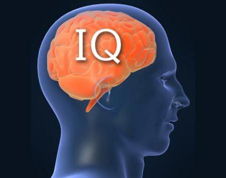  iq niveau