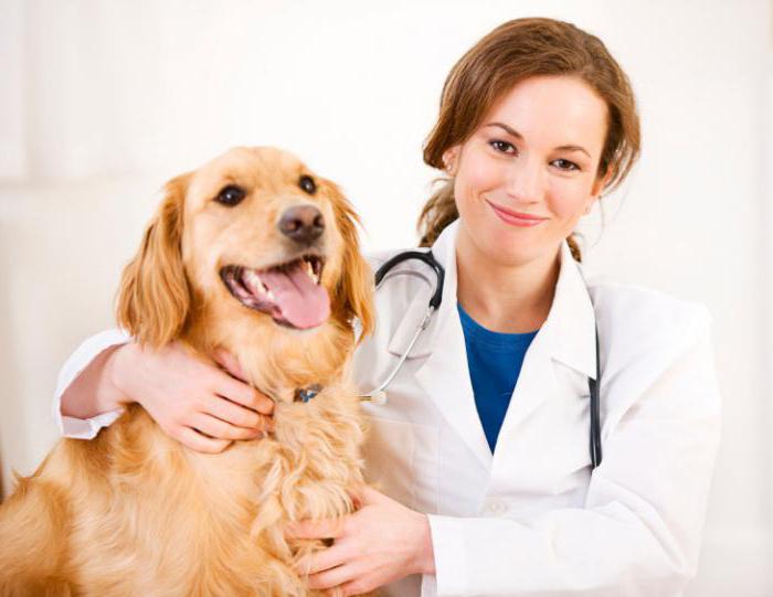 Veterinaire apotheken in Moskou