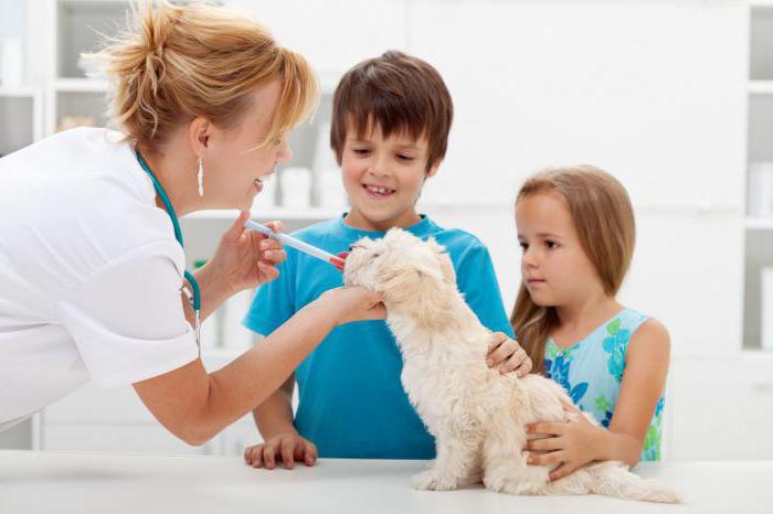 Veterinaire apotheken in Moskou (CJSC)
