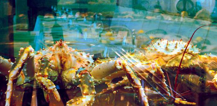 Beste visrestaurants in Moskou