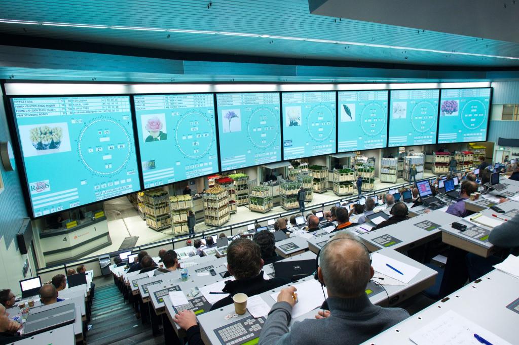 nederlandse veiling methode