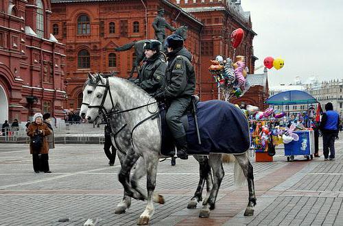 prawo dotyczące policji Federacji Rosyjskiej